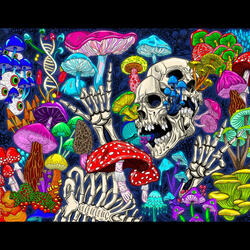 Tripping on mushrooms