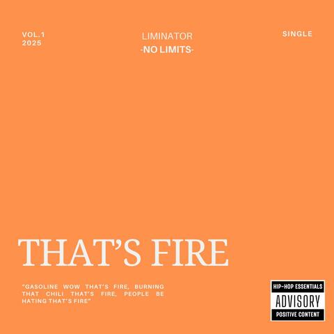 That's Fire  (feat. David, Omar, Aditi & Samreen)