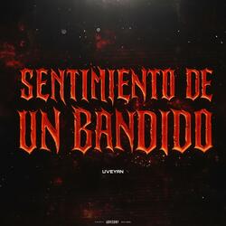 SENTIMIENTOS DE UN BANDIDO