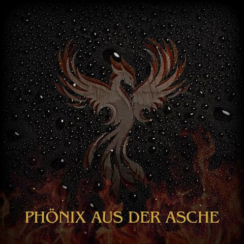 PHÖNIX AUS DER ASCHE