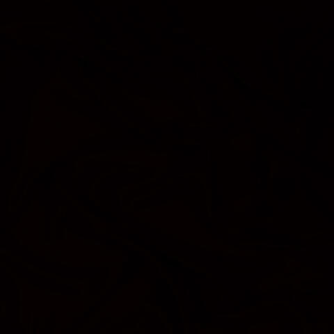 wheredoesitgo