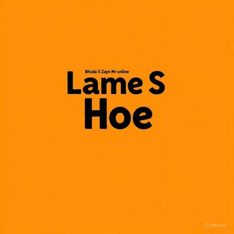 Lame hoe (Zayn Mr online Remix Xhosa version)
