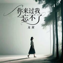 你来过我忘不了