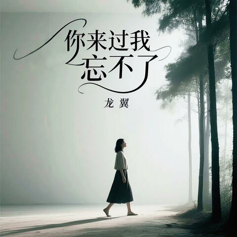你来过我忘不了