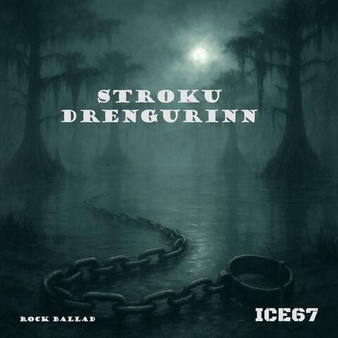 Stroku drengurinn (Radio Edit)