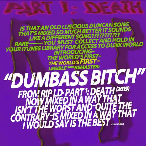 DUMBASS BITCH (PHOENETICALLY LEGIBLE MIX) (2025 Remaster)