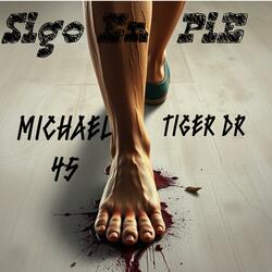 Sigo En Pie (feat. Tiger dr)