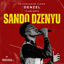 Sando Dzenyu (feat. King David)