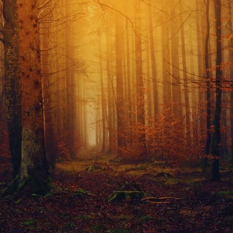 Ashes of the Horizon