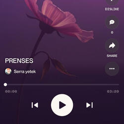 PRENSES