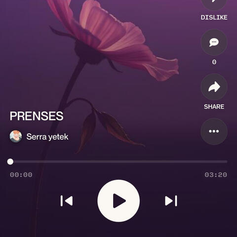 PRENSES