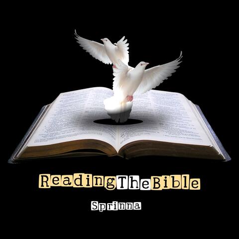 Reading The Bible