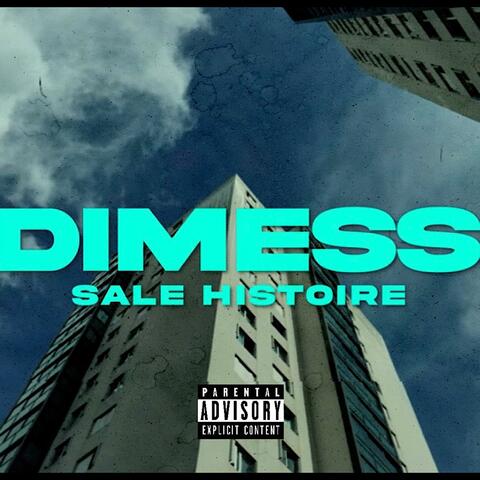 Sale histoire