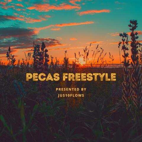 Pecas Freestyle