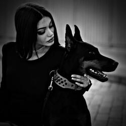 دمبوره مجلسی دیوانگان پرسوز