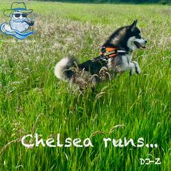 Chelsea runs