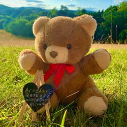 Release World Gaze Picture