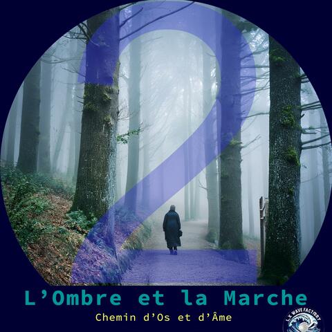L'ombre et la marche