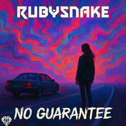 NO GUARANTEE