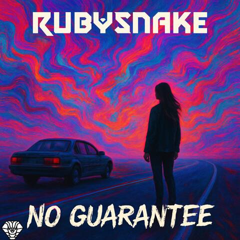 NO GUARANTEE
