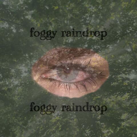 foggy raindrop
