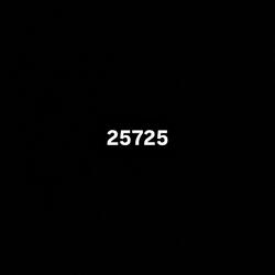 25725