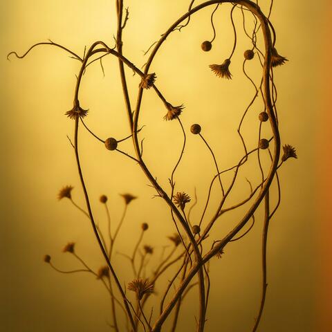 Bound by Memory