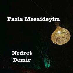 Fazla Mesaideyim