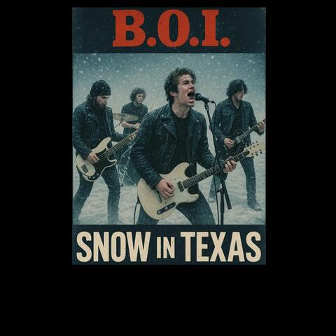 Snow in Texas
