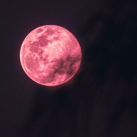 Pinkmoon