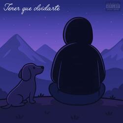 TENER QUE OLVIDARTE