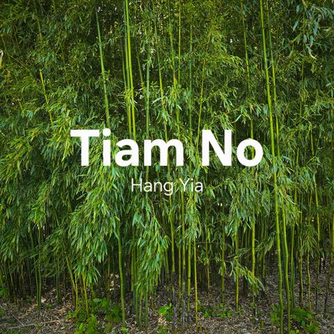 Koom Tib Lub Ntiaj Teb