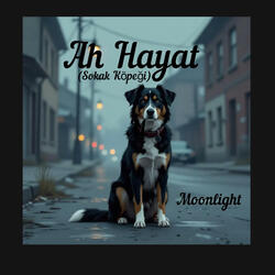 Ah Hayat (Sokak Köpeği)