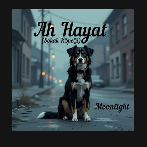 Ah Hayat (Sokak Köpeği)