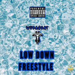 Low Down Freestyle