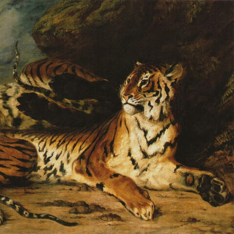 BEAUTIFUL PUSSY CATS