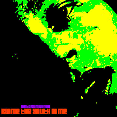 Blame The Youth In Me