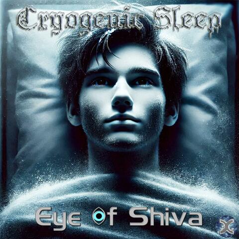 Cryogenic Sleep