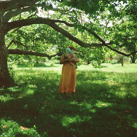 In the Wild (Reimagined)