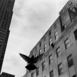 Submarino (feat. $maker)