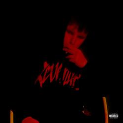 I DONT WANNA RUSH (feat. Shaun VI)