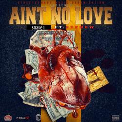 Aint No Love (feat. LaFamilia Nephew)