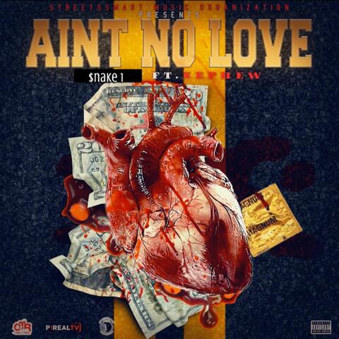 Aint No Love (feat. LaFamilia Nephew)