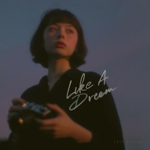 like a dream