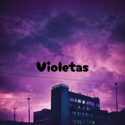 Violetas