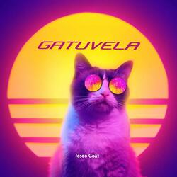 Gatuvela