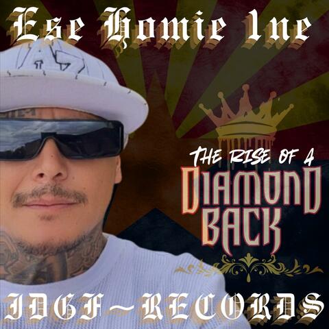 THIS THE 1NE (Radio Edit)