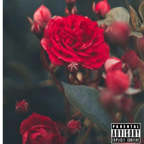 Lost Messages to J ..