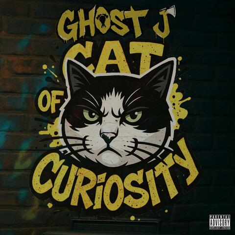 Cat Of Curiosity