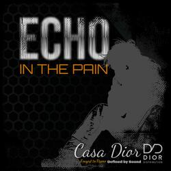 Echo in the Pain